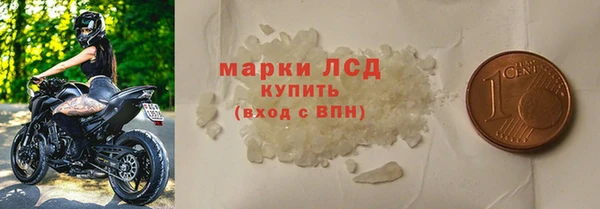 индика Горняк